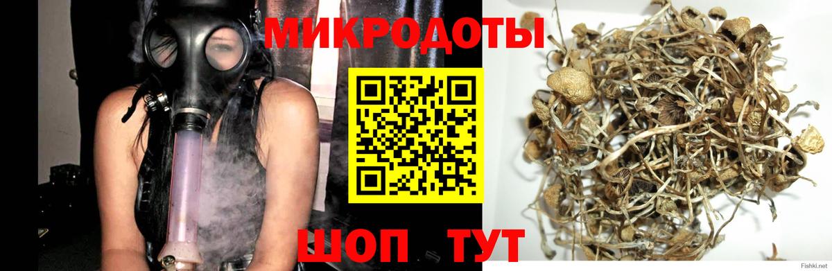 наркотики  Вход с VPN  Кумертау  Псилоцибиновые грибы Psilocybe  Галлюциногенные грибы MAGIC MUSHROOMS 